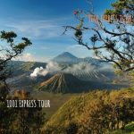 Bromo Mountain view