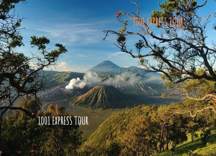 Bromo Mountain view