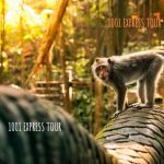 Ubud Monkey Forest